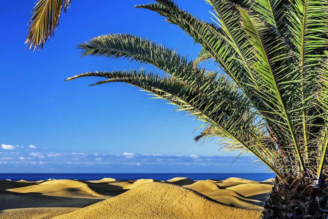 Holiday home Las Adelfas South Beach 5 By Canariasgetaway San Bartolome de Tirajana